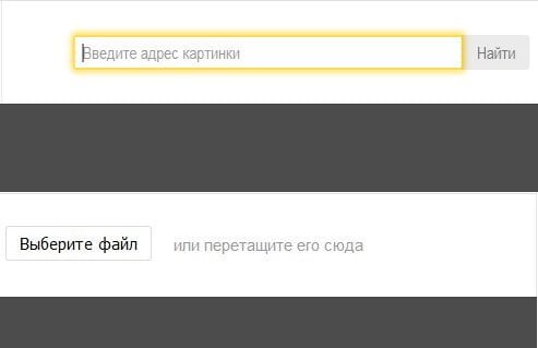 Modi per cercare immagini in Yandex