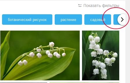 Freccia per visualizzare altri filtri in Yandex