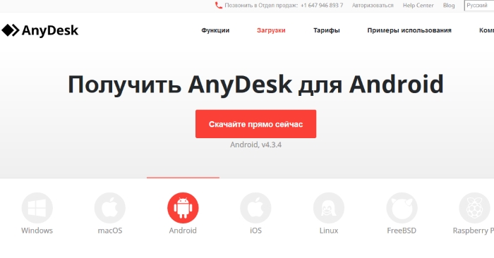 anydesk web client