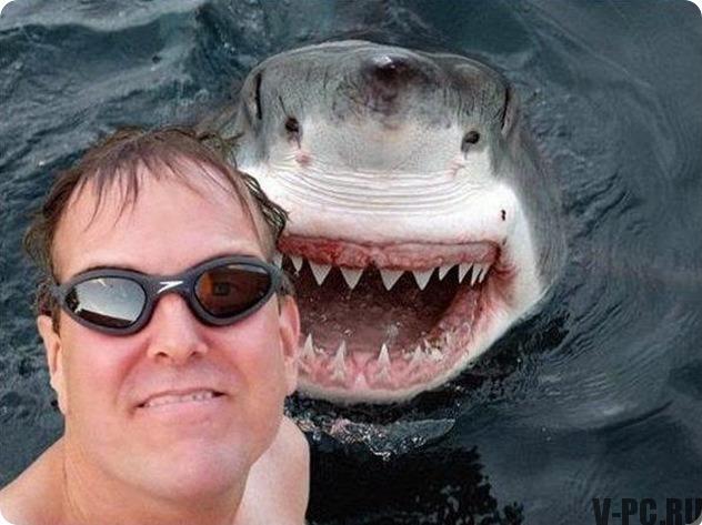 selfie dello squalo