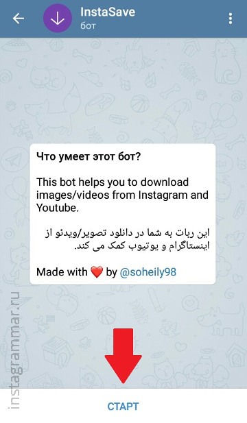 Visualizzazione delle storie di Instagram in modo anonimo - Bot Telegram