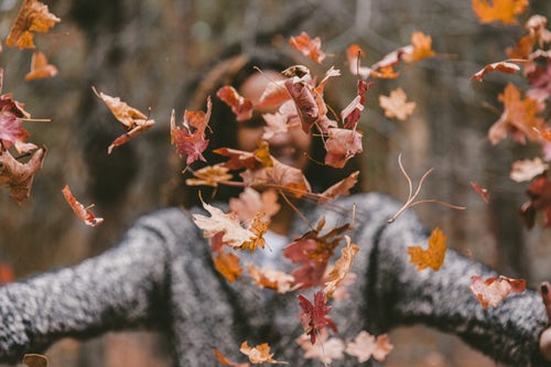 Idee fotografiche autunnali per instagram - una ragazza lancia foglie nella foresta