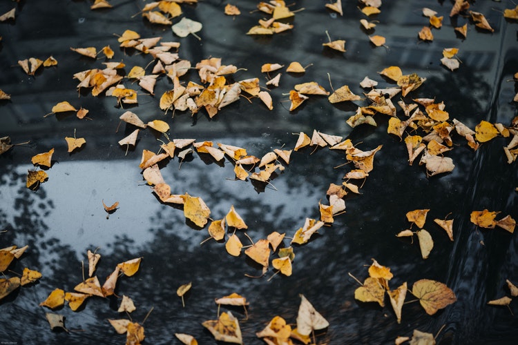 Idee fotografiche autunnali per Instagram: un cuore di foglie
