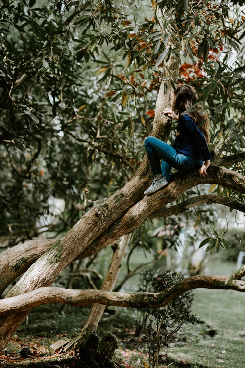 Idee fotografiche autunnali per Instagram - una ragazza su un albero