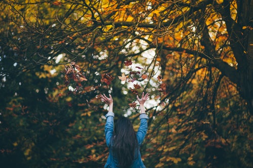 Idee fotografiche autunnali per Instagram - getta foglie nella foresta
