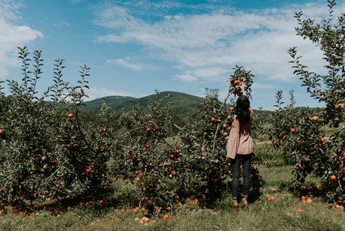 Idee fotografiche autunnali per Instagram - la ragazza raccoglie le mele