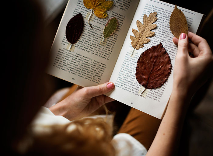 Idee fotografiche autunnali per Instagram - foglie secche in un libro