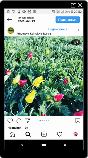 Video su Instagram sulla primavera